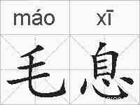 毛息的拼音