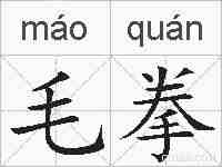 毛拳的拼音