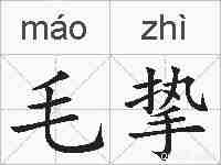 毛挚的拼音