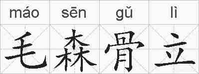 毛森骨立的拼音