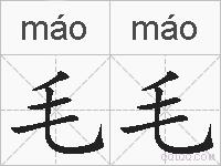 毛毛的拼音