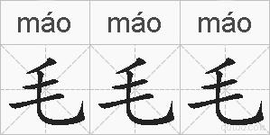 毛毛毛的拼音