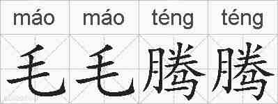 毛毛腾腾的拼音