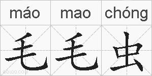 毛毛虫的拼音