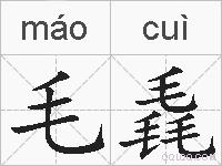 毛毳的拼音