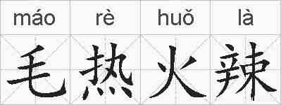 毛热火辣的拼音