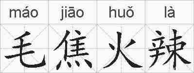 毛焦火辣的拼音