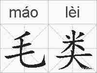 毛类的拼音
