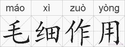 毛细作用的拼音