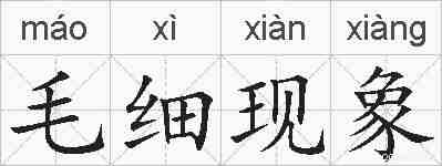 毛细现象的拼音