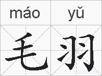 毛羽的拼音