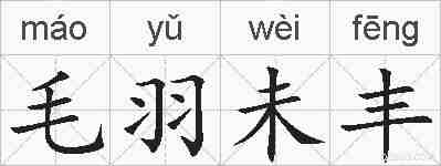 毛羽未丰的拼音