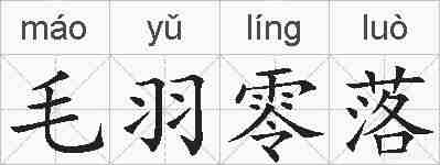 毛羽零落的拼音