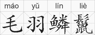 毛羽鳞鬣的拼音