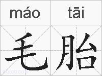 毛胎的拼音