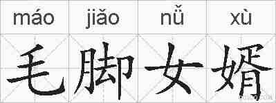 毛脚女婿的拼音