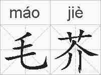 毛芥的拼音