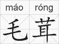 毛茸的拼音