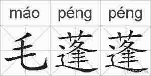 毛蓬蓬的拼音
