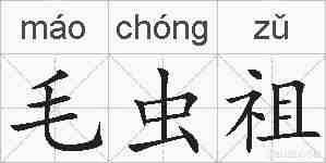 毛虫祖的拼音