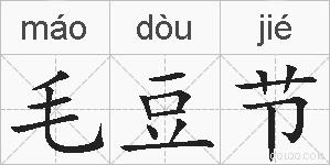 毛豆节的拼音