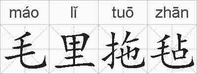 毛里拖毡的拼音