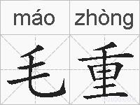 毛重的拼音
