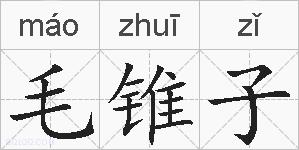毛锥子的拼音