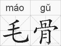 毛骨的拼音