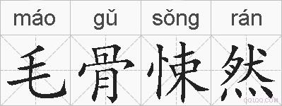 毛骨悚然的拼音