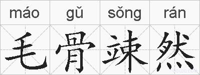 毛骨竦然的拼音