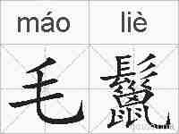 毛鬣的拼音