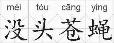 没头苍蝇的拼音