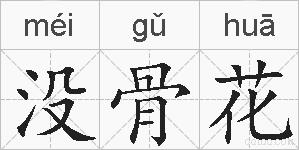 没骨花的拼音
