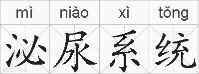 泌尿系统的拼音