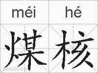 煤核的拼音