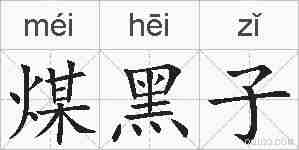 煤黑子的拼音