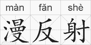 漫反射的拼音