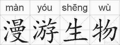 漫游生物的拼音