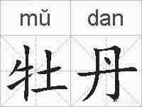 牡丹的拼音
