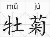 牡菊的拼音