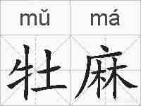 牡麻的拼音