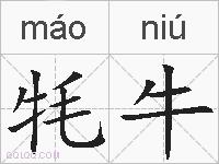 牦牛的拼音