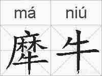 犘牛的拼音