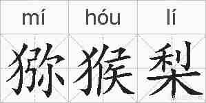 猕猴梨的拼音
