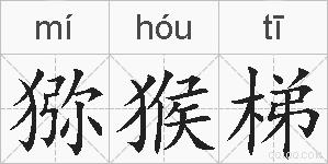 猕猴梯的拼音
