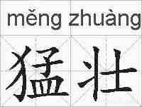 猛壮的拼音