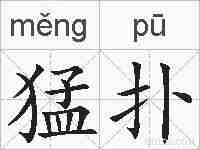 猛扑的拼音