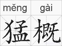 猛概的拼音