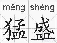 猛盛的拼音